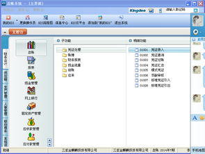 金蝶旗舰版配件成本如何查看(怎样自动显示金蝶KIS记账王中的损益类会计科目余额方向?金蝶KI爱)